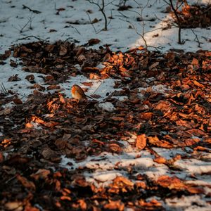 Golden sunlight shining through a window onto a floor